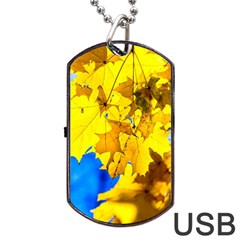 Yellow Maple Leaves Dog Tag Usb Flash (one Side) by FunnyCow