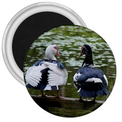 Muscovy Ducks At The Pond 3  Magnets by IIPhotographyAndDesigns