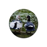 Muscovy Ducks at the Pond Rubber Round Coaster (4 pack)  Front