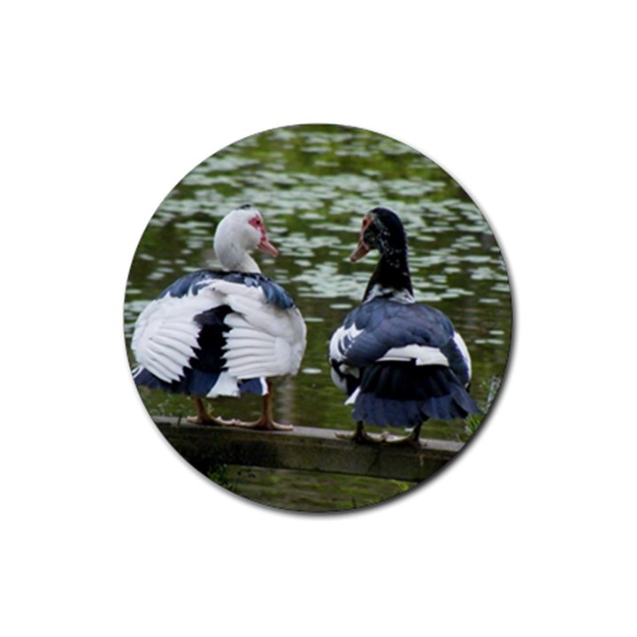 Muscovy Ducks at the Pond Rubber Round Coaster (4 pack) 