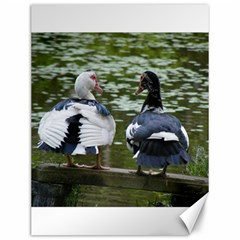 Muscovy Ducks At The Pond Canvas 12  X 16   by IIPhotographyAndDesigns