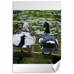 Muscovy Ducks At The Pond Canvas 20  X 30   by IIPhotographyAndDesigns