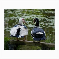 Muscovy Ducks At The Pond Small Glasses Cloth (2-side) by IIPhotographyAndDesigns