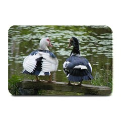 Muscovy Ducks At The Pond Plate Mats by IIPhotographyAndDesigns