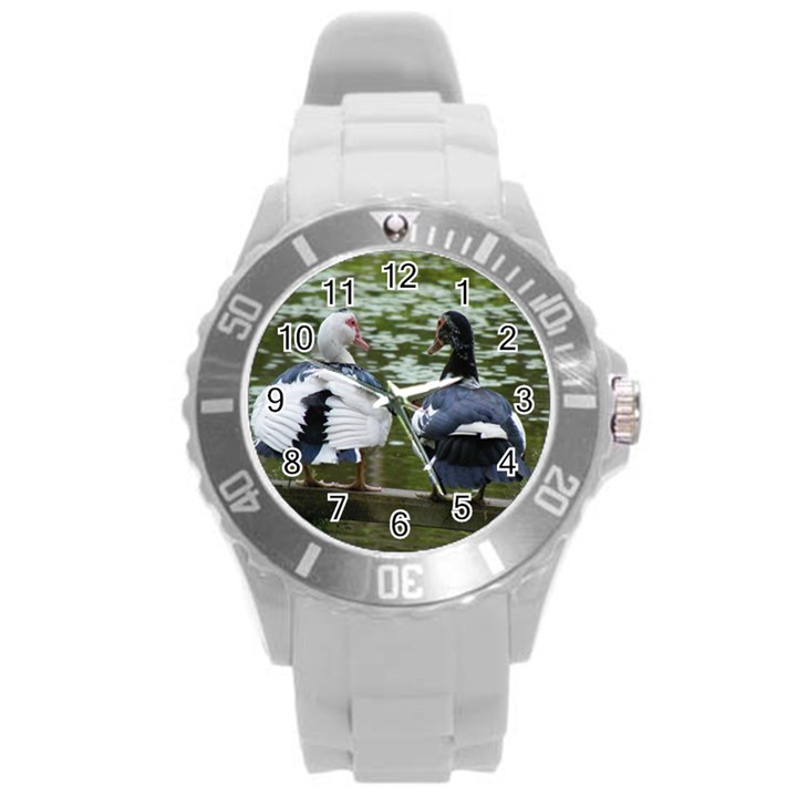 Muscovy Ducks at the Pond Round Plastic Sport Watch (L)