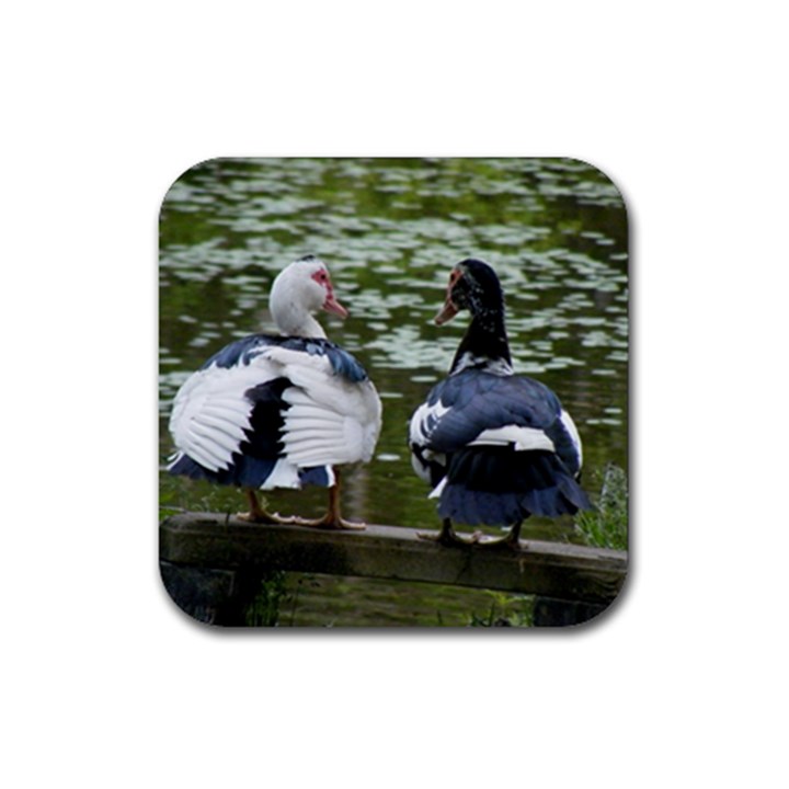 Muscovy Ducks at the Pond Rubber Coaster (Square) 