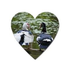 Muscovy Ducks At The Pond Heart Magnet by IIPhotographyAndDesigns