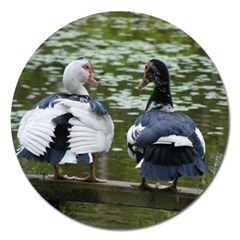 Muscovy Ducks At The Pond Magnet 5  (round) by IIPhotographyAndDesigns