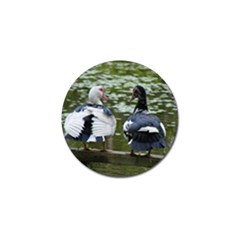 Muscovy Ducks At The Pond Golf Ball Marker (4 Pack) by IIPhotographyAndDesigns