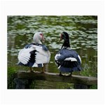 Muscovy Ducks at the Pond Small Glasses Cloth (2-Side) Front