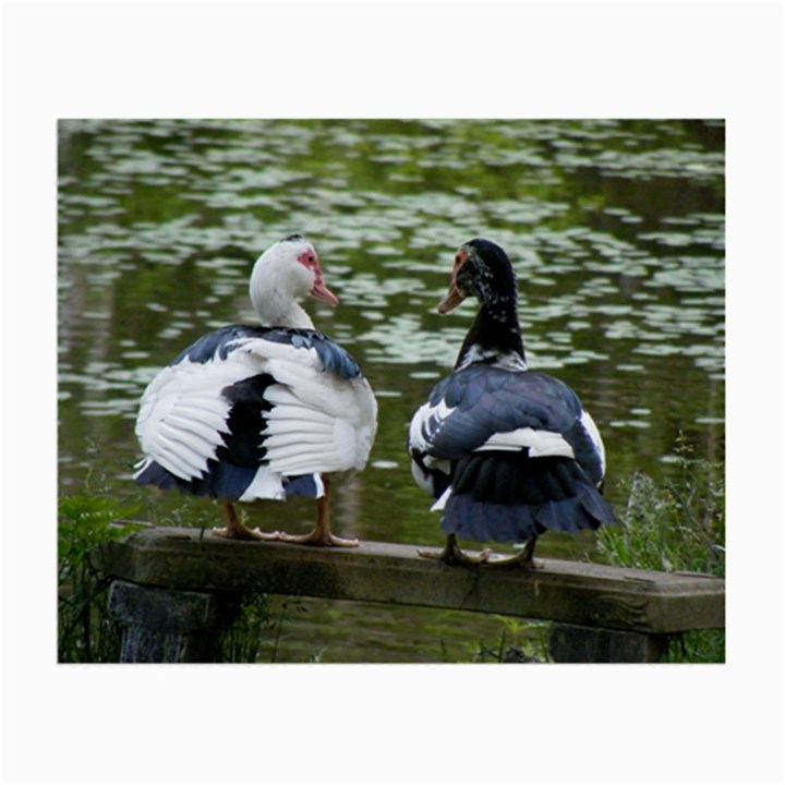 Muscovy Ducks at the Pond Small Glasses Cloth (2-Side)