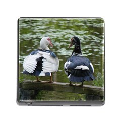 Muscovy Ducks At The Pond Memory Card Reader (square 5 Slot) by IIPhotographyAndDesigns