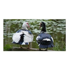 Muscovy Ducks At The Pond Satin Shawl by IIPhotographyAndDesigns