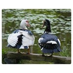 Muscovy Ducks at the Pond Double Sided Flano Blanket (Medium)  60 x50  Blanket Front