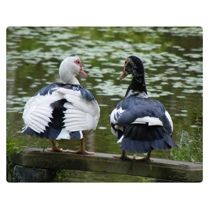 Muscovy Ducks at the Pond Double Sided Flano Blanket (Medium) 