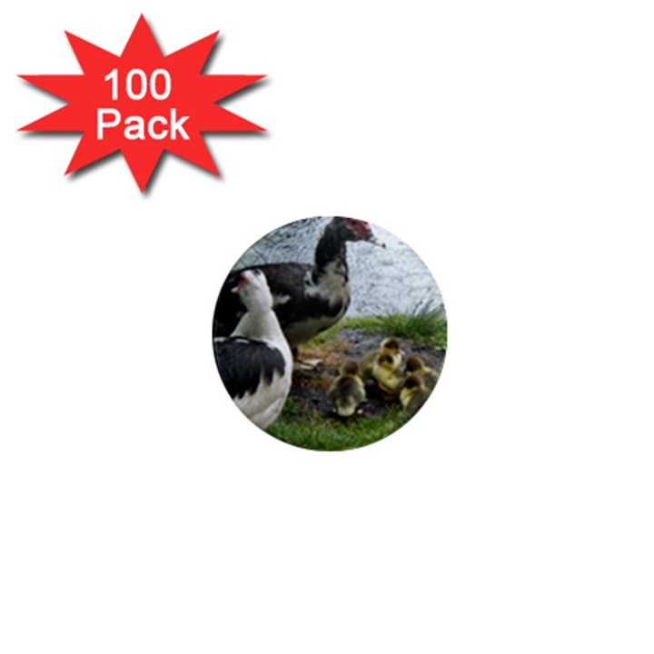 Muscovy Family 1  Mini Magnets (100 pack) 