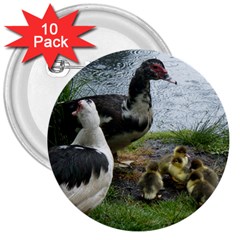 Muscovy Family 3  Buttons (10 Pack)  by IIPhotographyAndDesigns