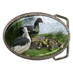 Muscovy Family Belt Buckles by IIPhotographyAndDesigns