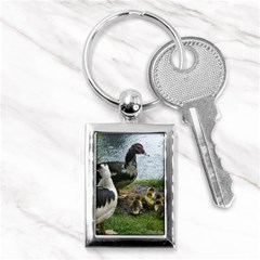 Muscovy Family Key Chains (rectangle)  by IIPhotographyAndDesigns