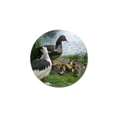 Muscovy Family Golf Ball Marker by IIPhotographyAndDesigns