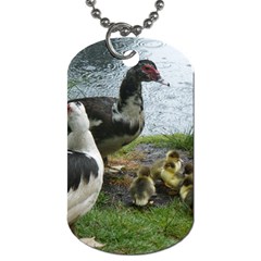 Muscovy Family Dog Tag (two Sides) by IIPhotographyAndDesigns