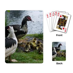 Muscovy Family Playing Card by IIPhotographyAndDesigns