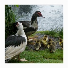 Muscovy Family Medium Glasses Cloth by IIPhotographyAndDesigns