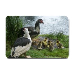 Muscovy Family Small Doormat  by IIPhotographyAndDesigns