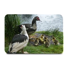 Muscovy Family Plate Mats by IIPhotographyAndDesigns