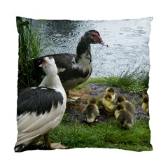 Muscovy Family Standard Cushion Case (one Side) by IIPhotographyAndDesigns