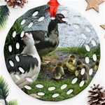 Muscovy Family Ornament (Round Filigree) Front