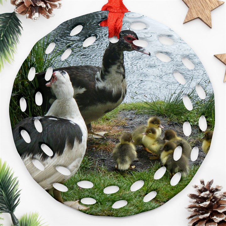 Muscovy Family Ornament (Round Filigree)