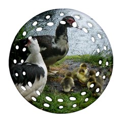 Muscovy Family Round Filigree Ornament (two Sides) by IIPhotographyAndDesigns