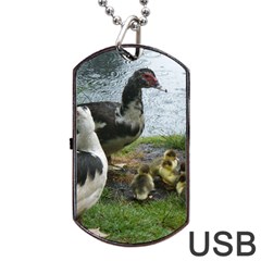 Muscovy Family Dog Tag Usb Flash (one Side) by IIPhotographyAndDesigns