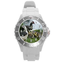 Muscovy Family Round Plastic Sport Watch (l) by IIPhotographyAndDesigns