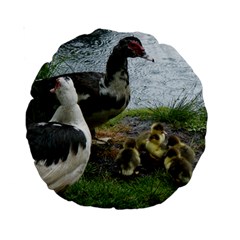 Muscovy Family Standard 15  Premium Round Cushions by IIPhotographyAndDesigns