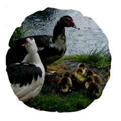 Muscovy Family Large 18  Premium Round Cushions by IIPhotographyAndDesigns