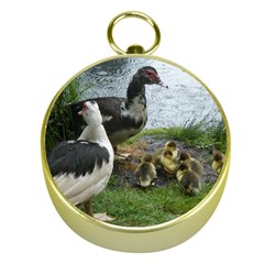 Muscovy Family Gold Compasses by IIPhotographyAndDesigns