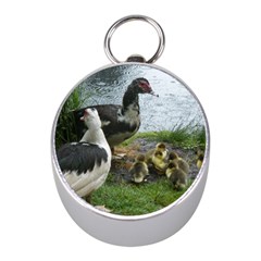 Muscovy Family Mini Silver Compasses by IIPhotographyAndDesigns