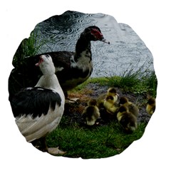 Muscovy Family Large 18  Premium Flano Round Cushions by IIPhotographyAndDesigns