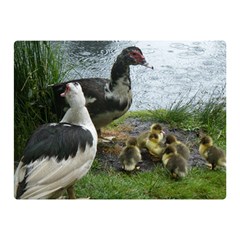 Muscovy Family Double Sided Flano Blanket (mini)  by IIPhotographyAndDesigns