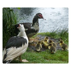 Muscovy Family Double Sided Flano Blanket (small)  by IIPhotographyAndDesigns