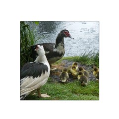 Muscovy Family Satin Bandana Scarf by IIPhotographyAndDesigns