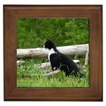 Farm Cat Framed Tiles Front