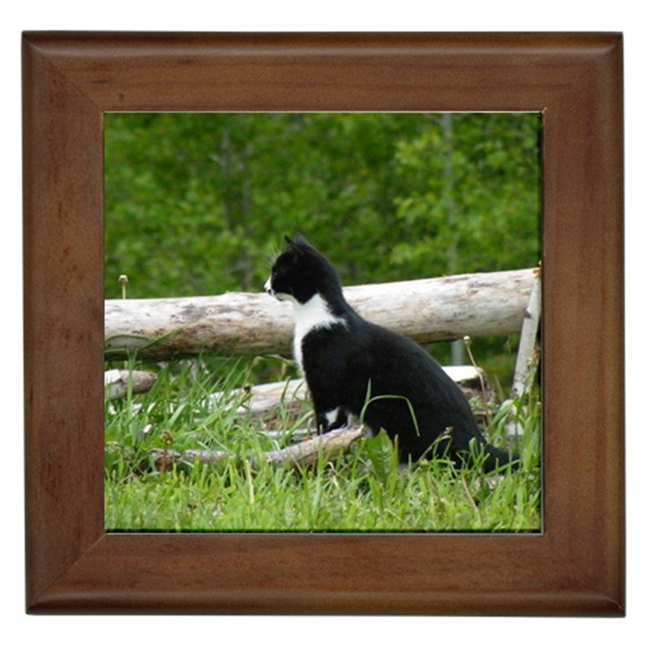 Farm Cat Framed Tiles