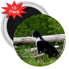 Farm Cat 3  Magnets (10 Pack) 