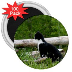 Farm Cat 3  Magnets (100 Pack)