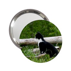 Farm Cat 2 25  Handbag Mirrors by IIPhotographyAndDesigns