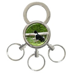 Farm Cat 3-ring Key Chains