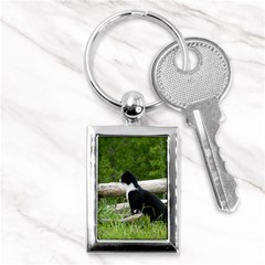 Farm Cat Key Chains (rectangle) 